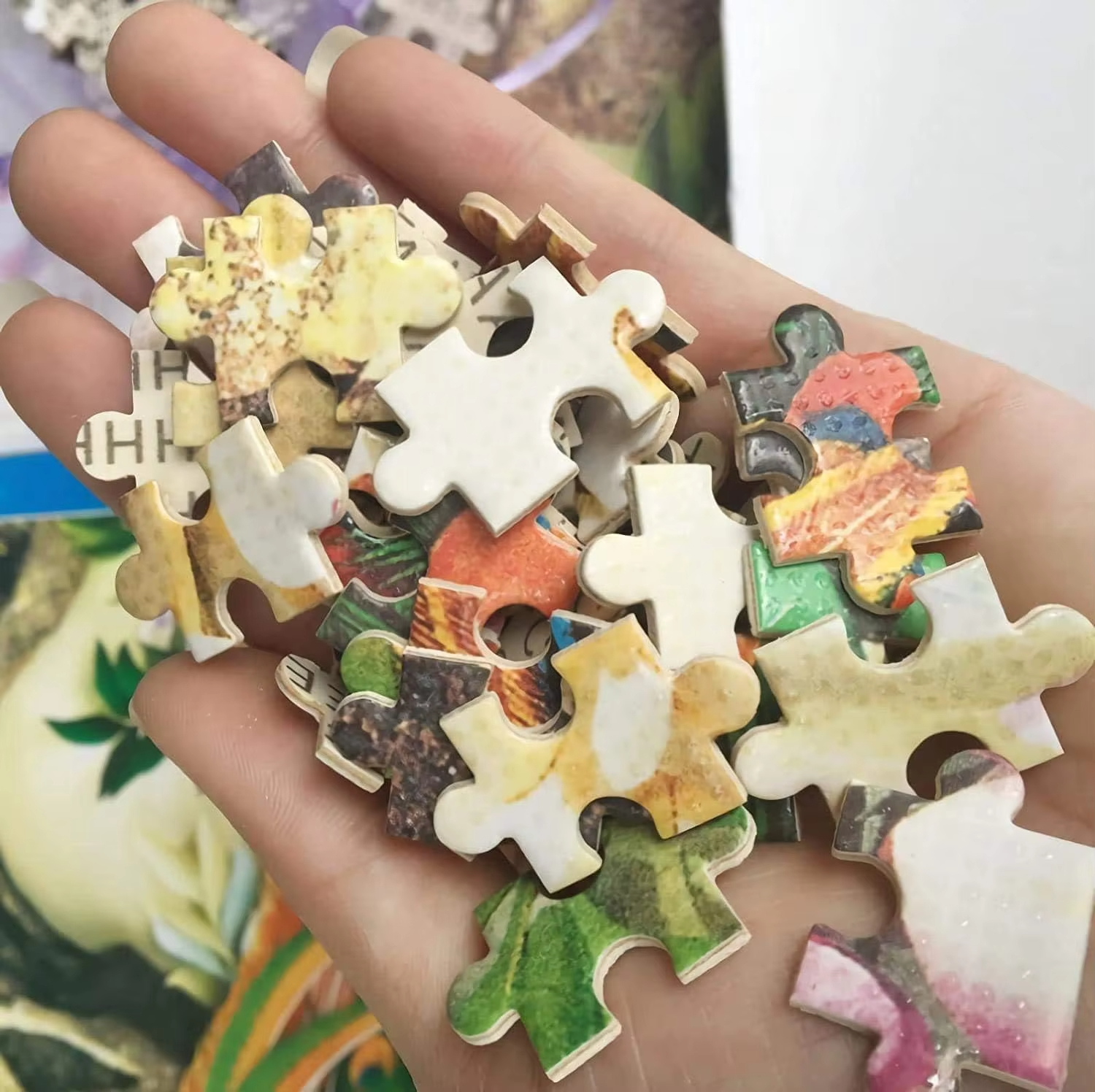 500/1000/1200/2000 PCS Jigsaw  - Mountain Biking Game recension och pris